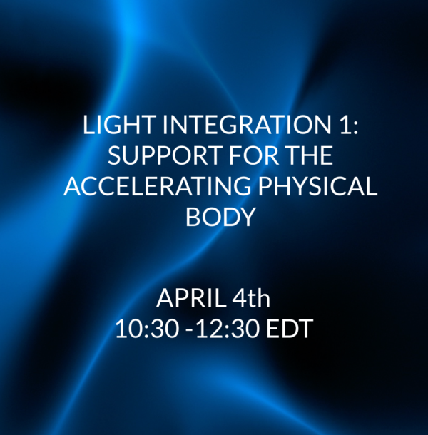 SUPPORT FOR THE ACCELERATING BODY